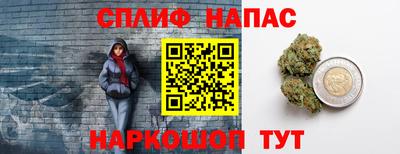 стафф Дубна