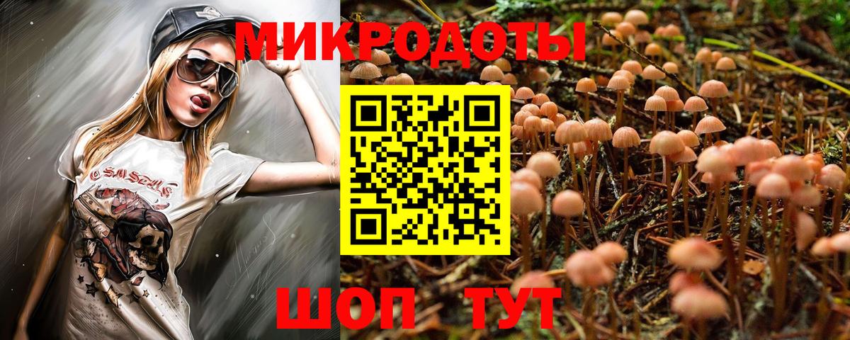 Владимир  Псилоцибиновые грибы ЛСД  Галлюциногенные грибы Magic Shrooms  Вход с VPN 
